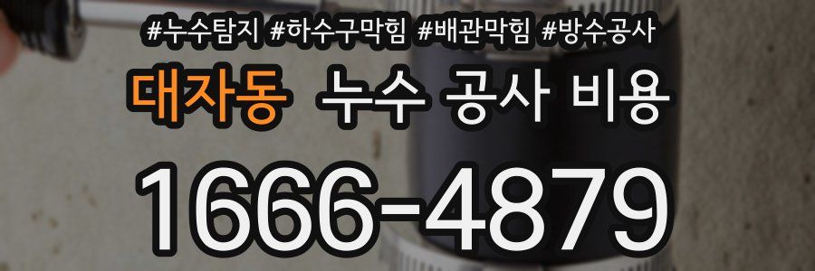 대자동 누수 공사 비용