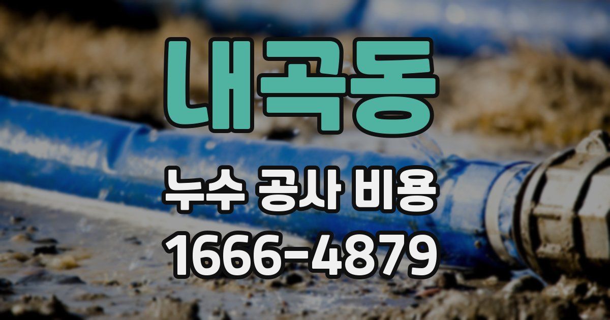 내곡동 누수 공사 비용