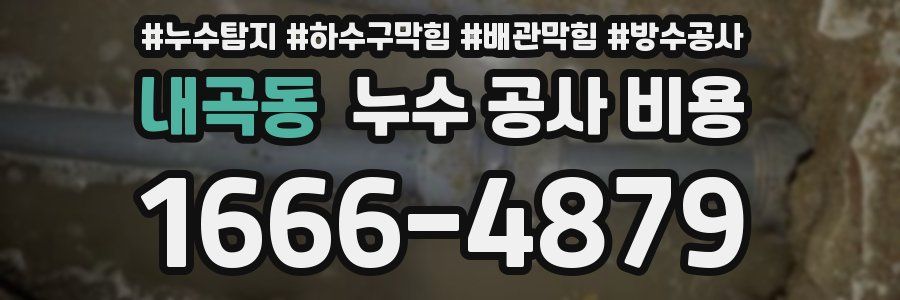 내곡동 누수 공사 비용