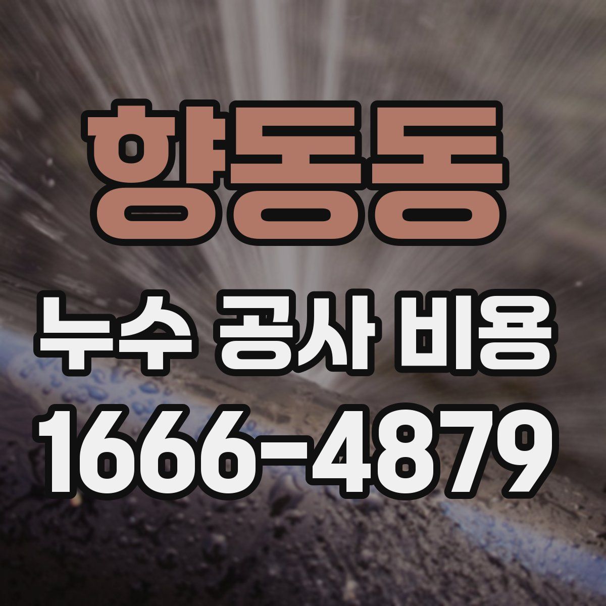 향동동 누수 공사 비용