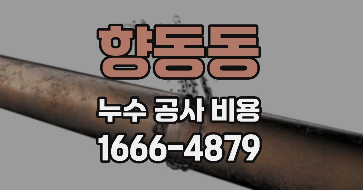향동동 누수 공사 비용