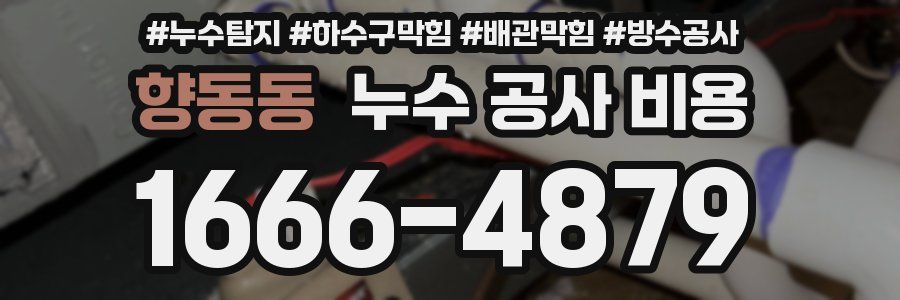 향동동 누수 공사 비용