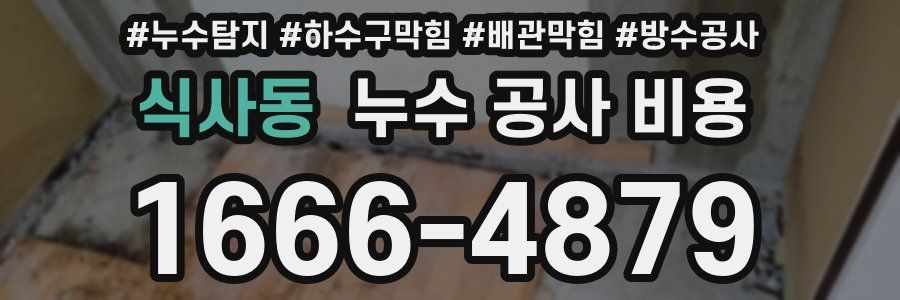 식사동 누수 공사 비용