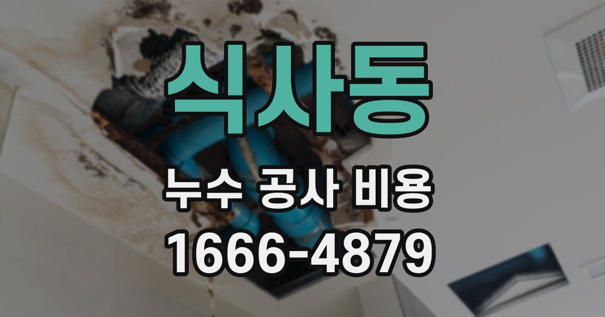 식사동 누수 공사 비용