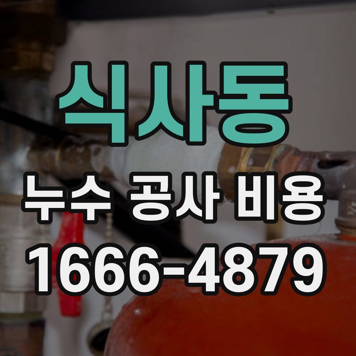 식사동 누수 공사 비용