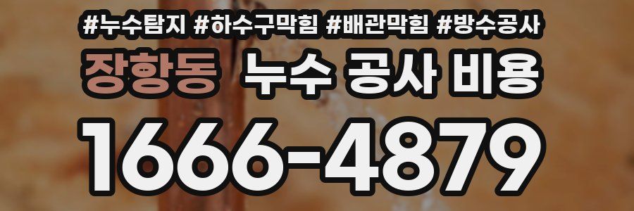 장항동 누수 공사 비용