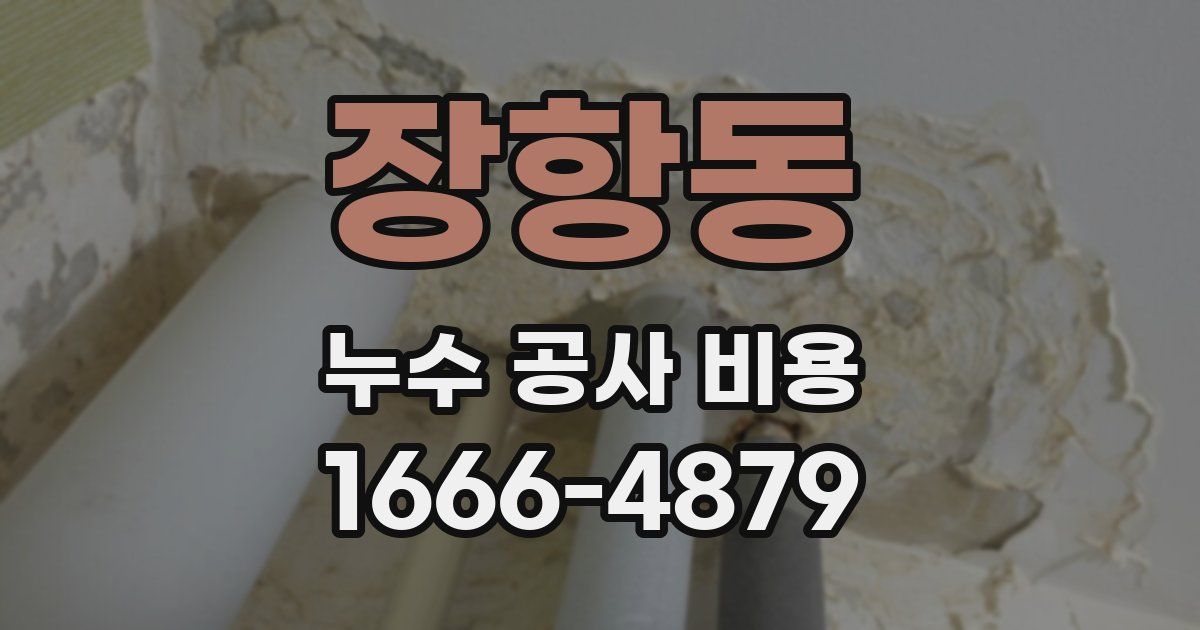 장항동 누수 공사 비용