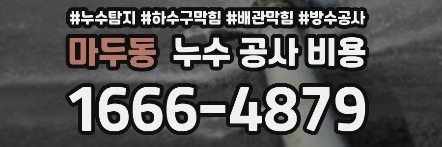 마두동 누수 공사 비용