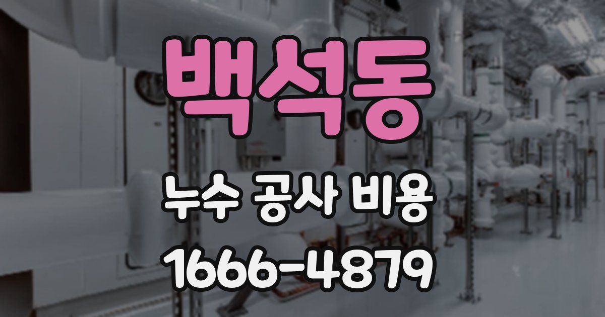 백석동 누수 공사 비용