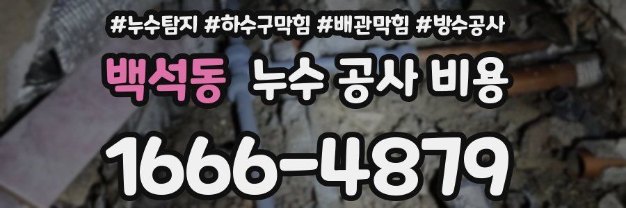 백석동 누수 공사 비용