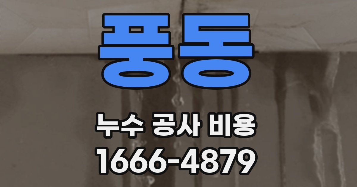 풍동 누수 공사 비용