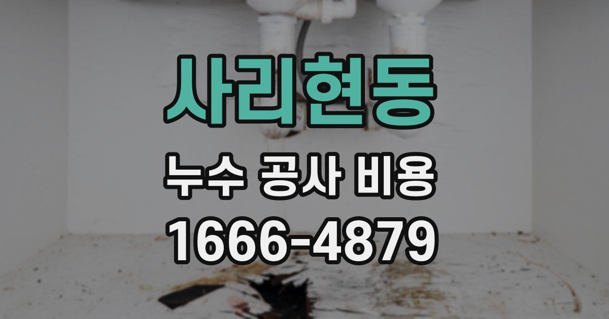 사리현동 누수 공사 비용