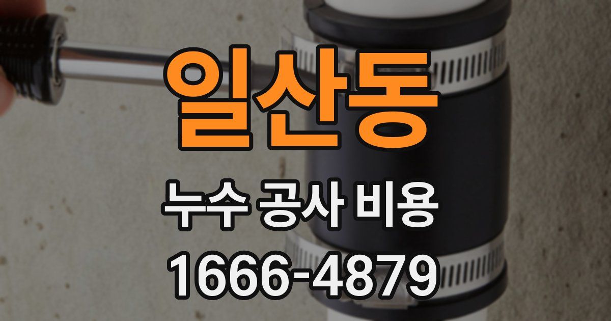 일산동 누수 공사 비용