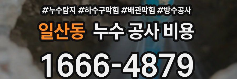 일산동 누수 공사 비용