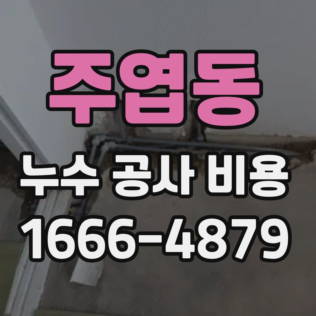 주엽동 누수 공사 비용