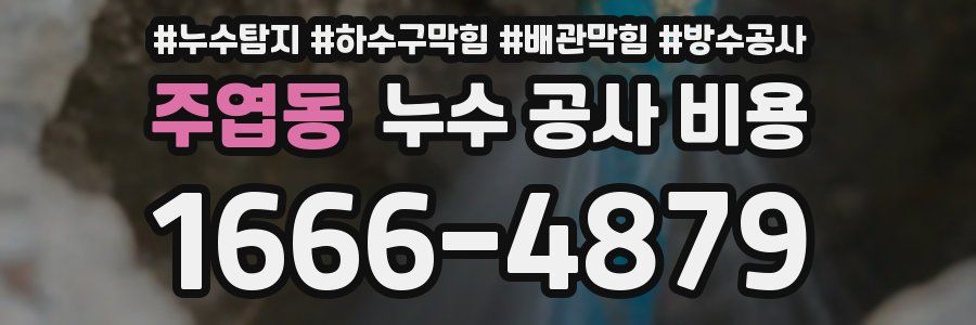 주엽동 누수 공사 비용