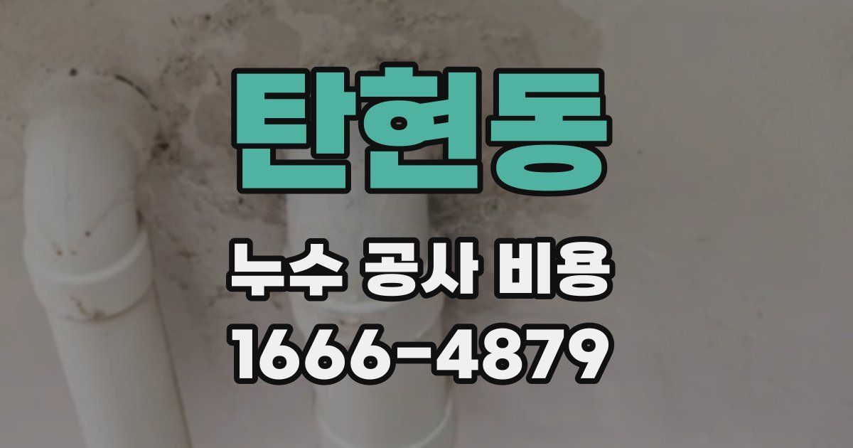 탄현동 누수 공사 비용