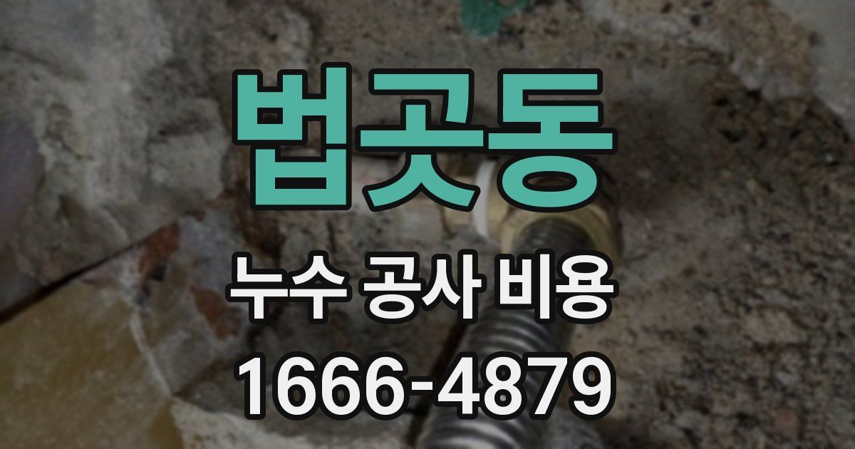 법곳동 누수 공사 비용