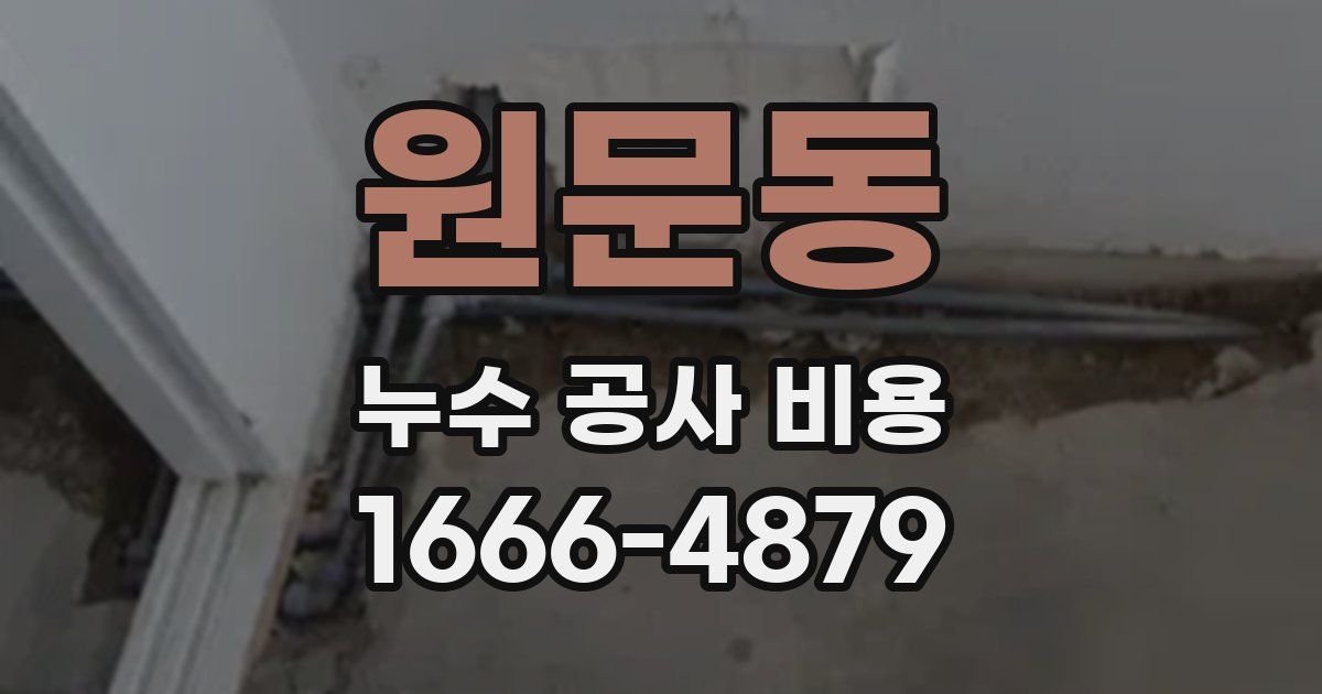 원문동 누수 공사 비용