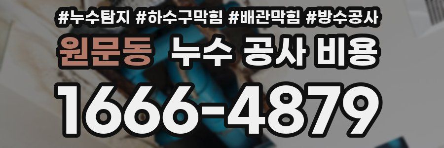 원문동 누수 공사 비용