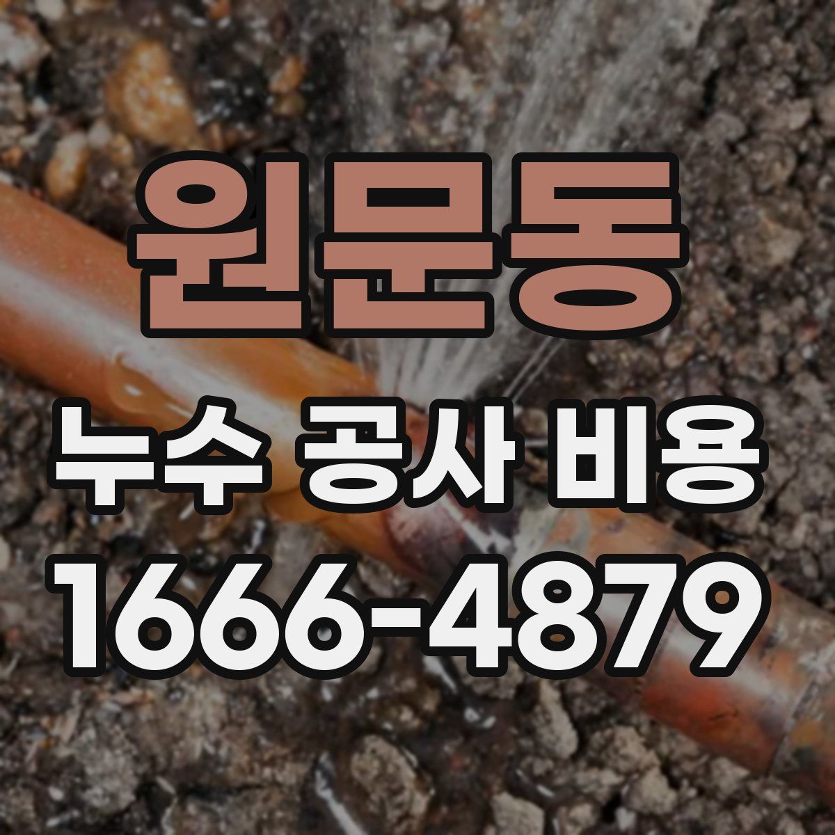 원문동 누수 공사 비용