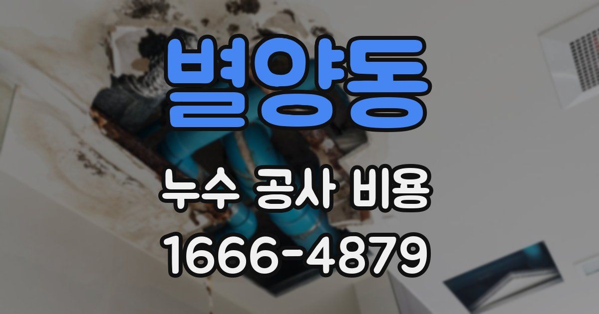 별양동 누수 공사 비용