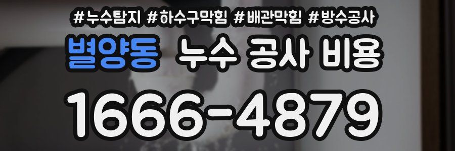 별양동 누수 공사 비용