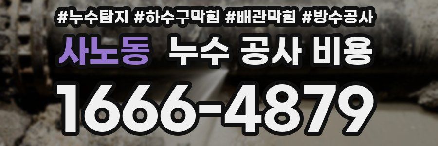 사노동 누수 공사 비용