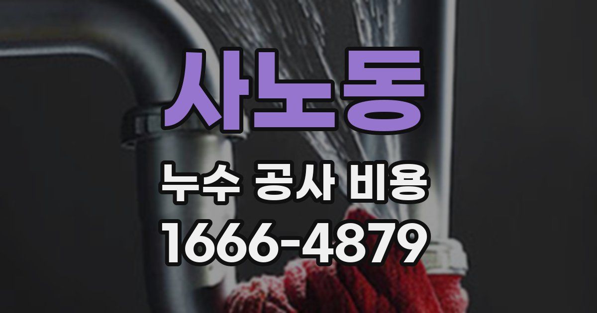 사노동 누수 공사 비용