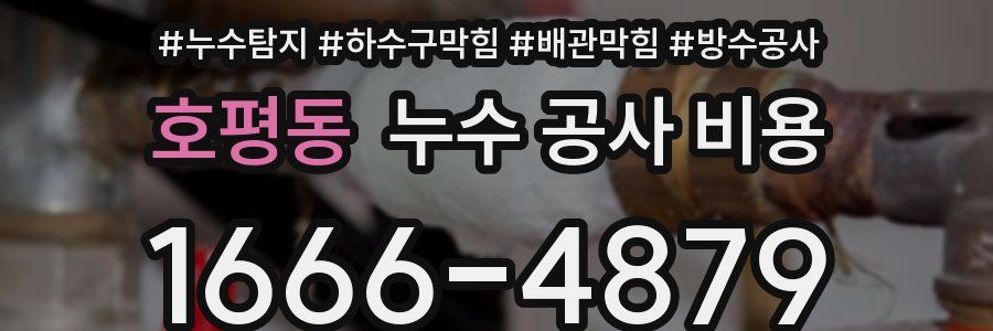 호평동 누수 공사 비용