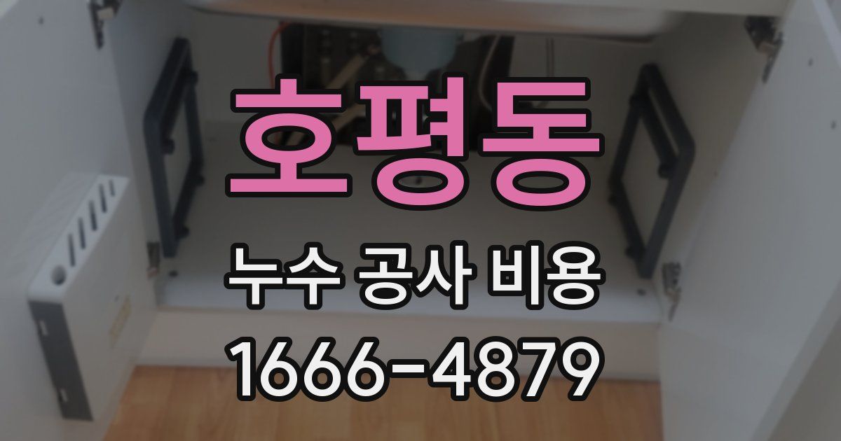 호평동 누수 공사 비용