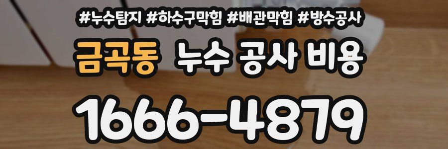 금곡동 누수 공사 비용