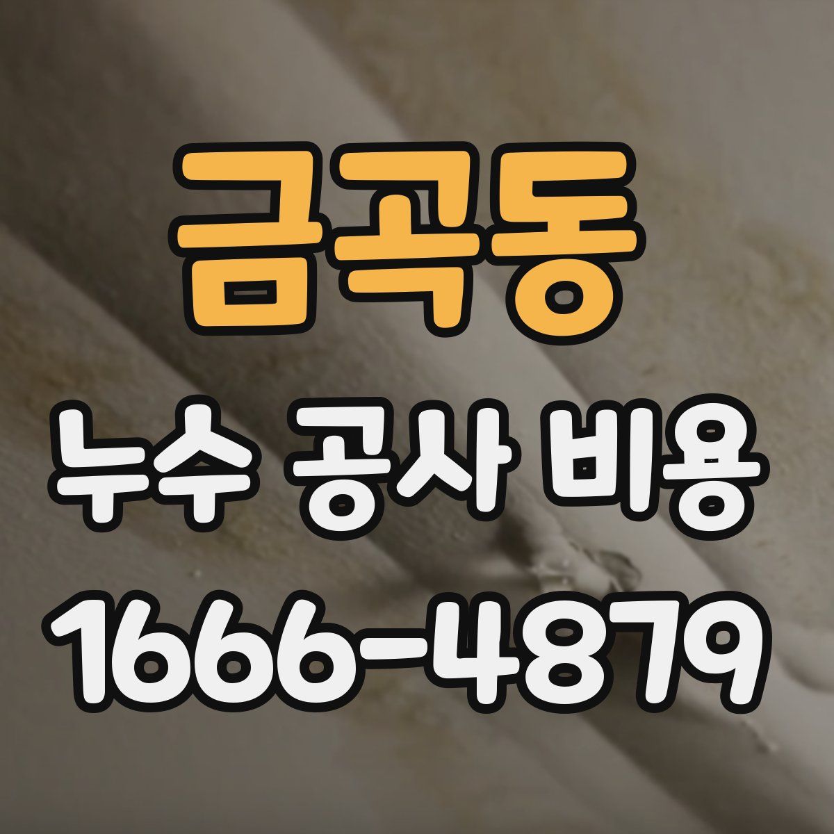 금곡동 누수 공사 비용