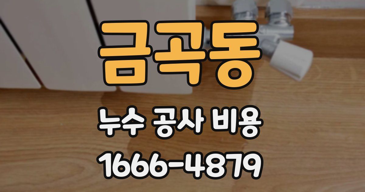 금곡동 누수 공사 비용