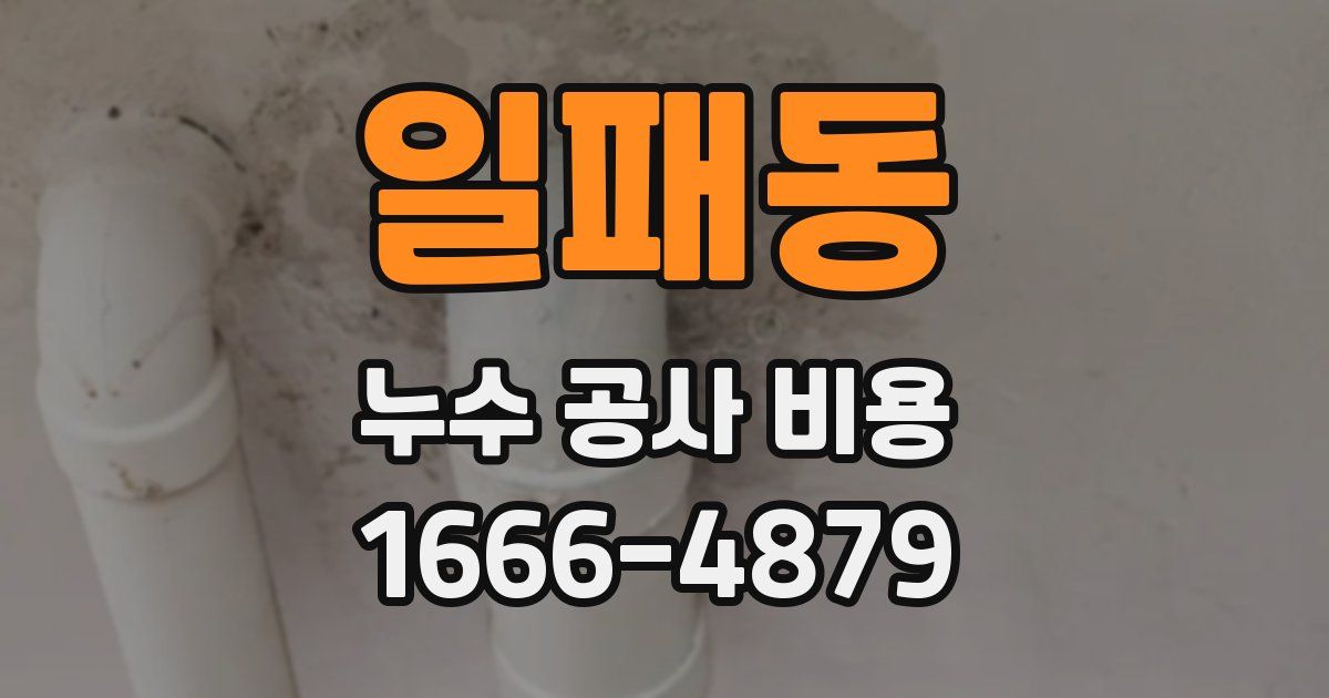 일패동 누수 공사 비용