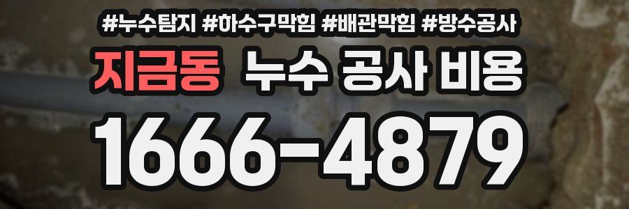 지금동 누수 공사 비용
