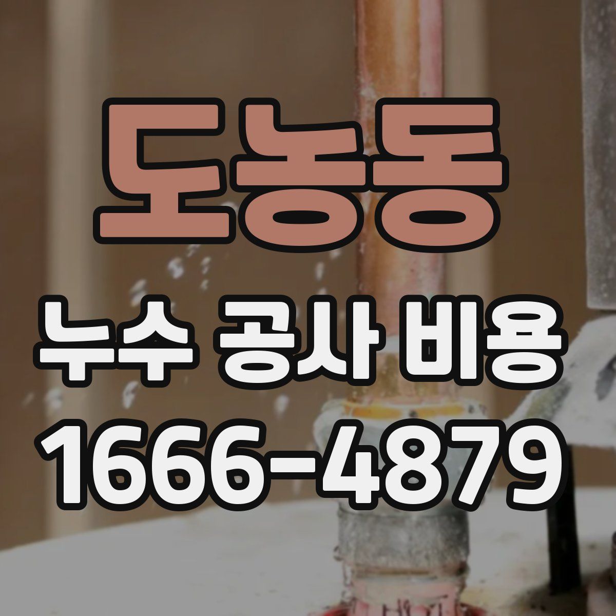 도농동 누수 공사 비용
