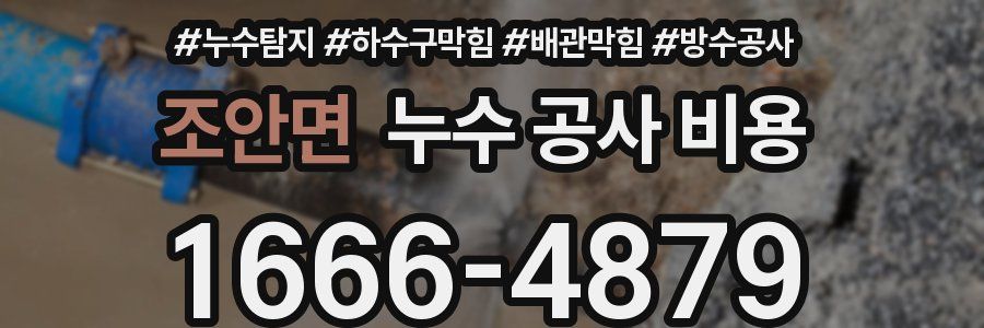 조안면 누수 공사 비용