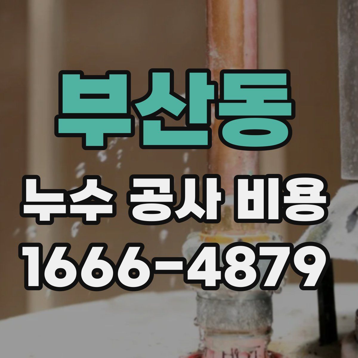 부산동 누수 공사 비용