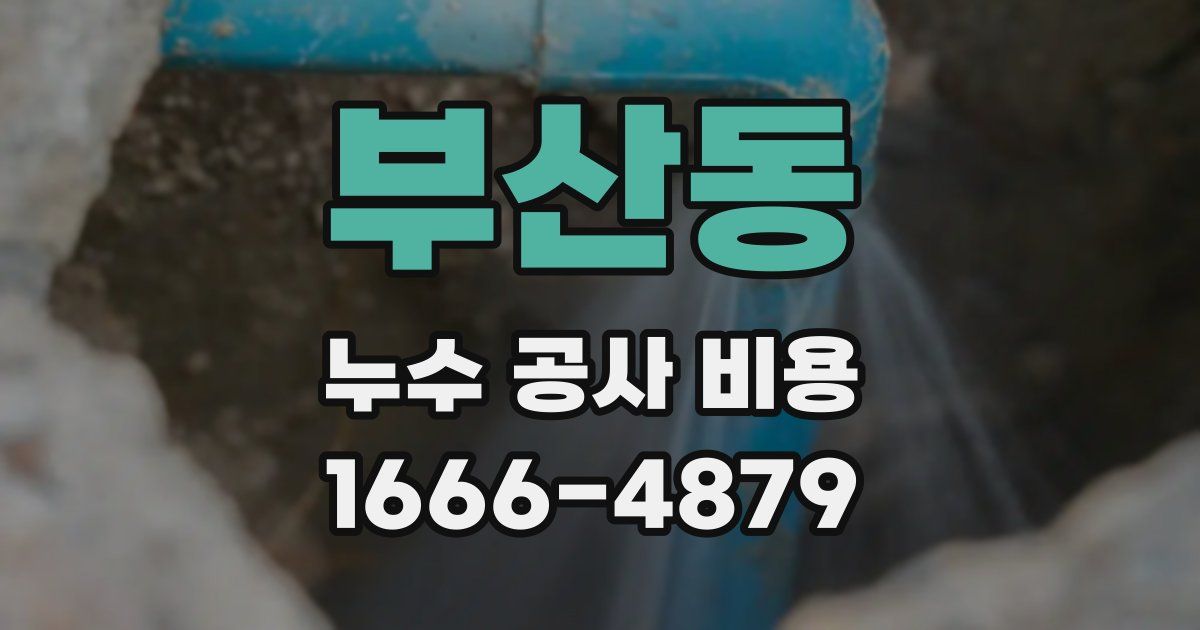 부산동 누수 공사 비용