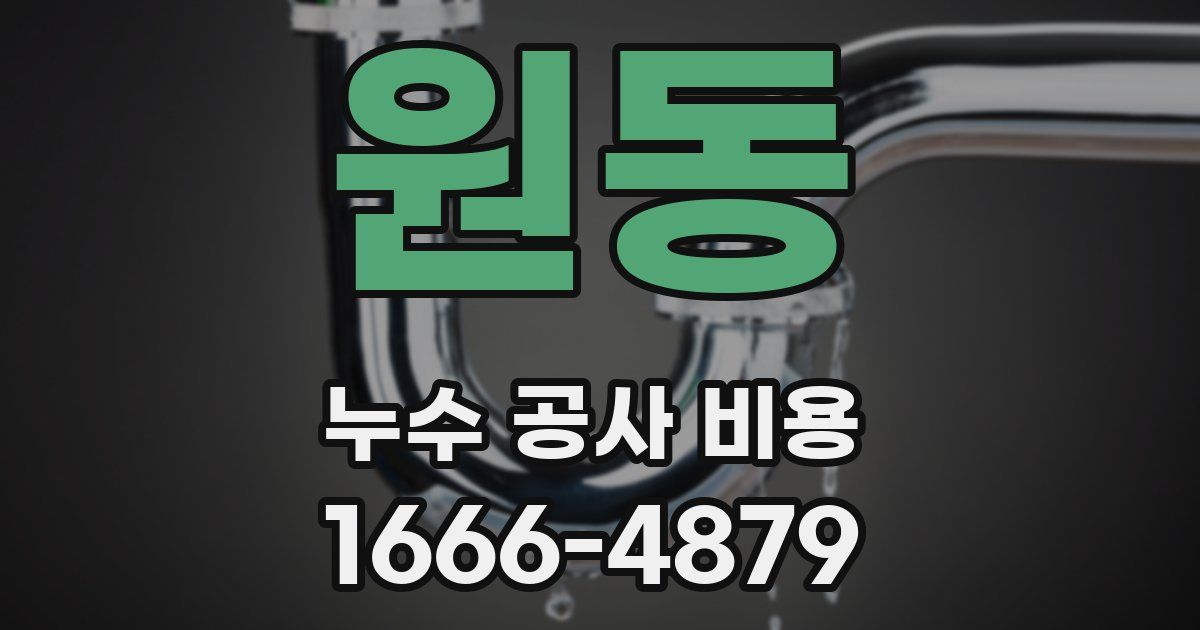 원동 누수 공사 비용