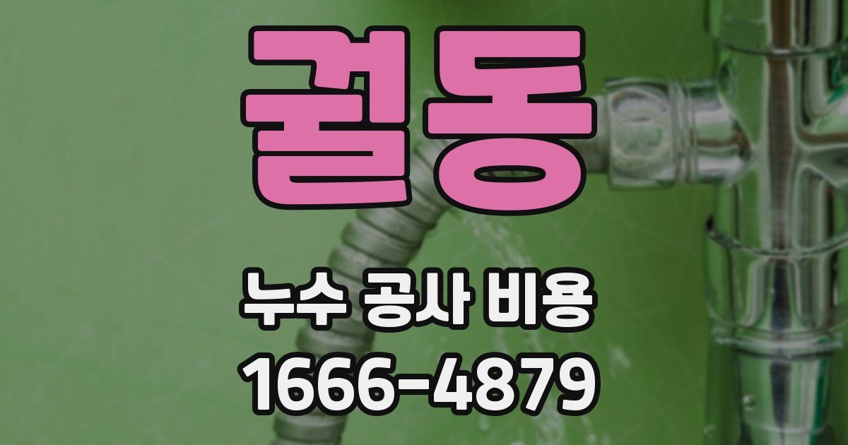 궐동 누수 공사 비용