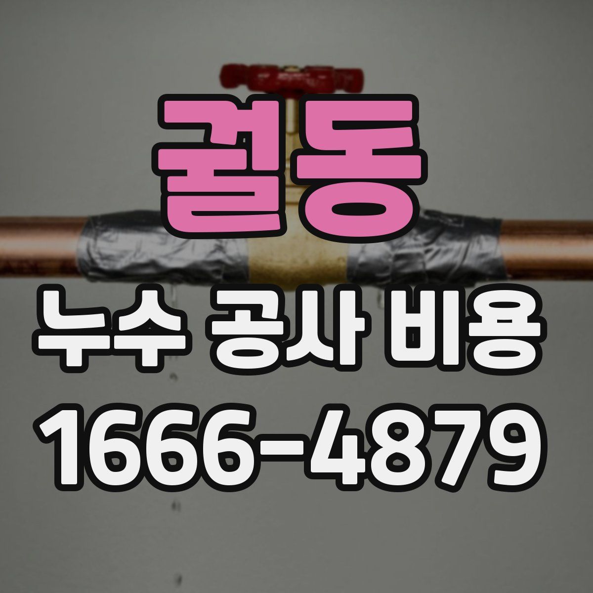 궐동 누수 공사 비용