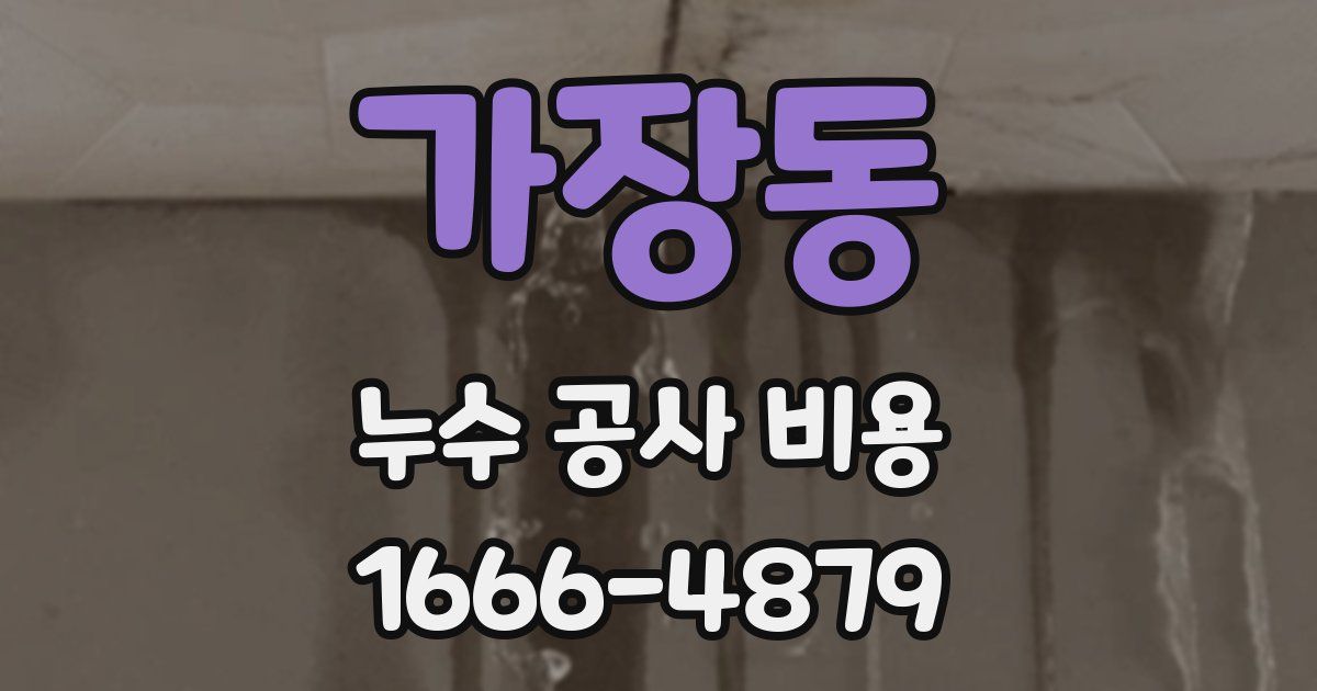 가장동 누수 공사 비용