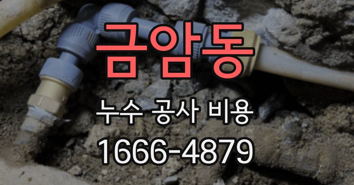 금암동 누수 공사 비용