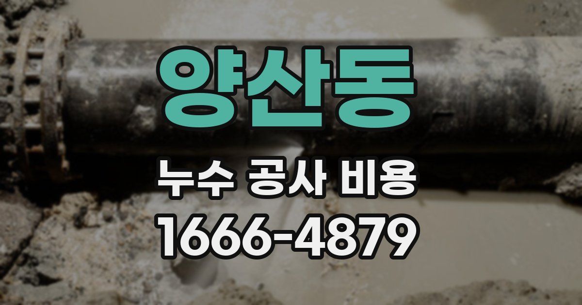 양산동 누수 공사 비용