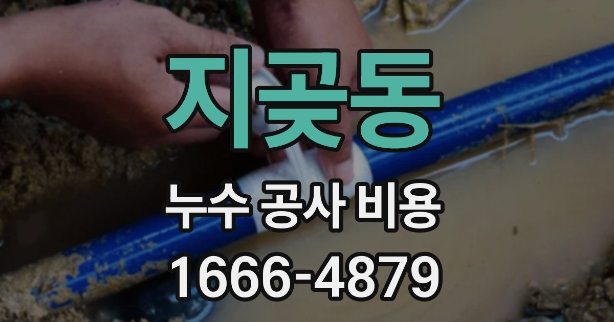지곶동 누수 공사 비용