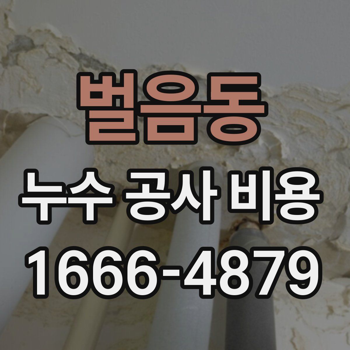 벌음동 누수 공사 비용