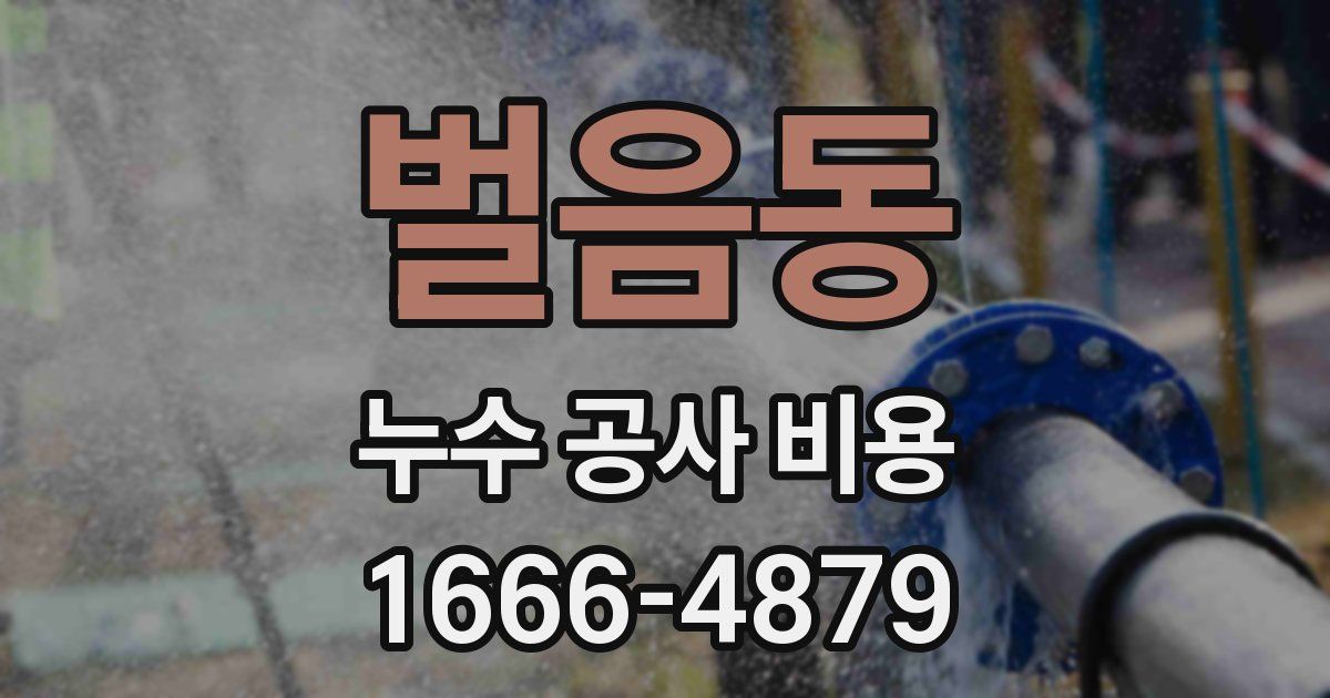 벌음동 누수 공사 비용