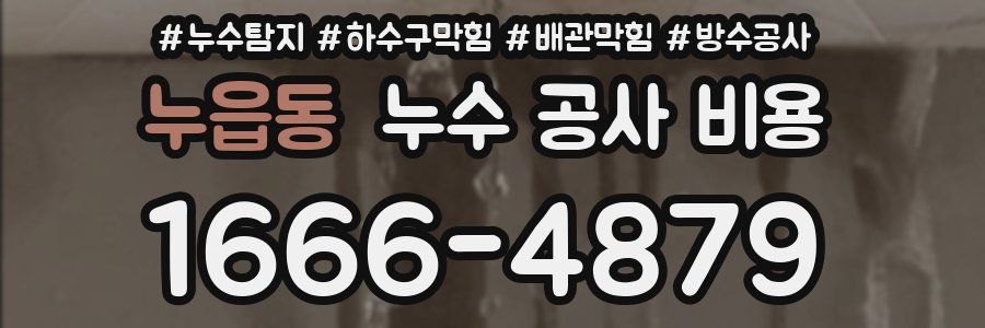 누읍동 누수 공사 비용